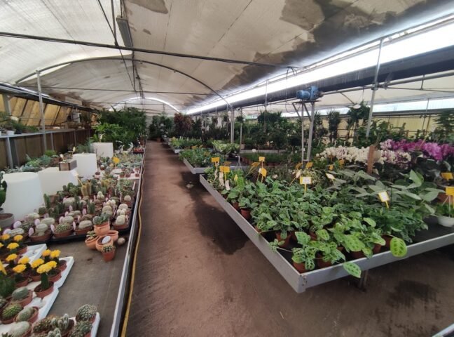 Centro de Jardinería Silvosa Hermanos