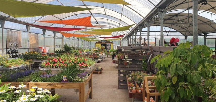 Vernatura Centro de jardinería y Huertos Urbanos