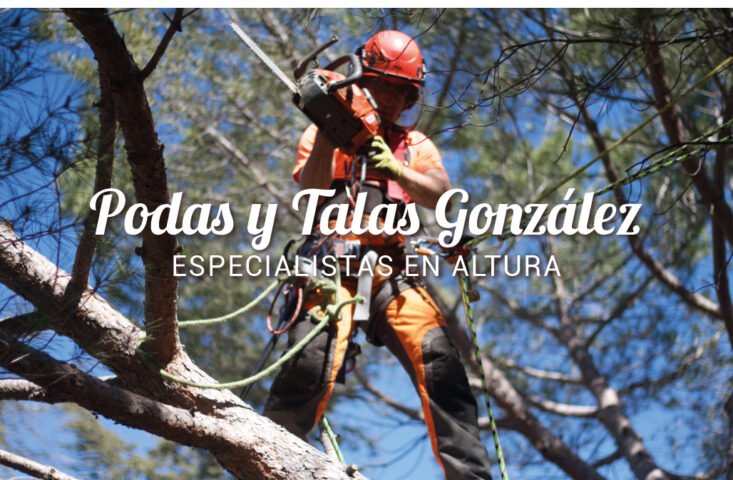 Podas y Talas González